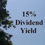 Orc Stock Dividend Safe